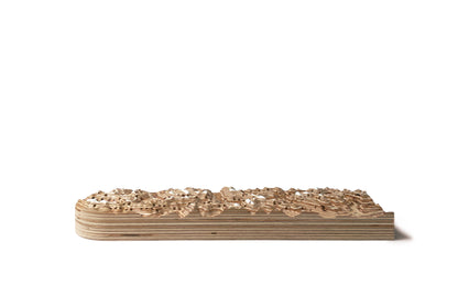 Terrain Cribbage Board